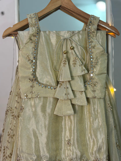 Kimaya heavy tissue lehenga set